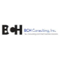 BCH Consulting Inc.