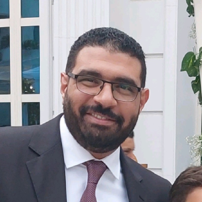 Ayman Hamza