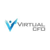 VCFO consulting