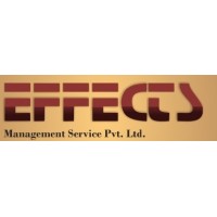 Effects Management Services Private Limited