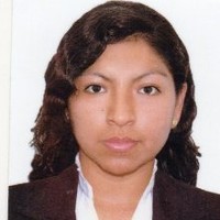 Sara Medina Unchupayco