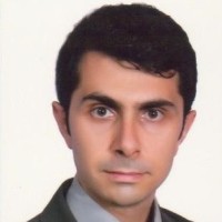 Peiman Mousavi
