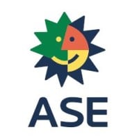 ASE Electronics (M) Sdn Bhd