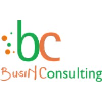 BusiN Consulting