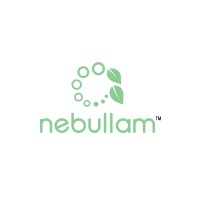 Nebullam, Inc.