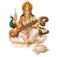 Saraswati Vidhya Mandir