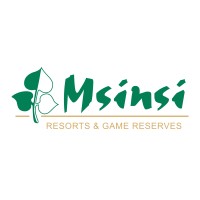 Msinsi Holdings SOC 
