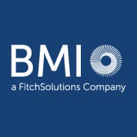 BMI Country Risk & Industry Analysis