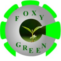 Foxy green hub resources 