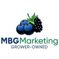 MBG Marketing