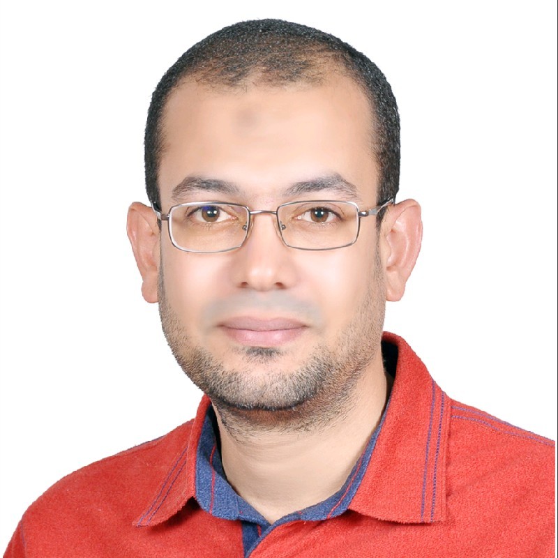 Wael Sedky Mohamed