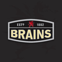 SA Brain and Company Ltd