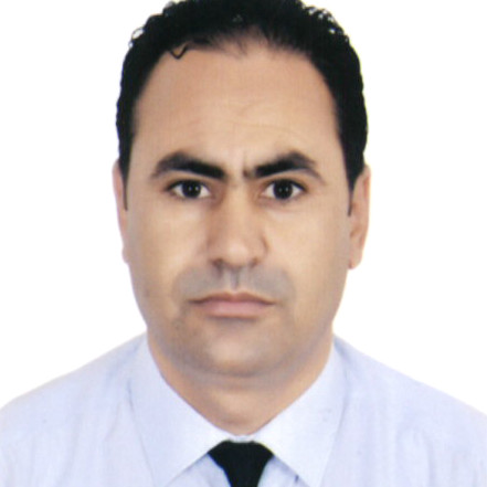 Tarek Hamdi