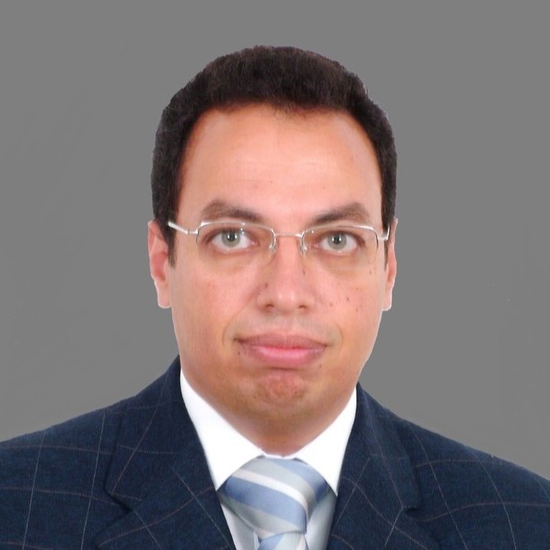Ayman Assaad, MBA, CSCP-F, SCOR-P, LBB