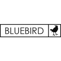 Blue Bird Marketing Group