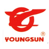 Hangzhou Youngsun Intelligent Equipment Co., Ltd