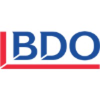 BDO Professional Services