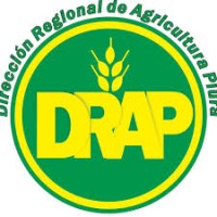 Dirección Regional de Agricultura - Piura