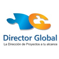 Director Global Consulting