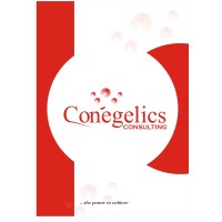 Conegelics Consulting International Ltd