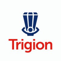 Trigion Security Services Ltd