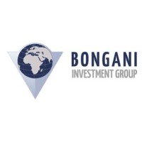Bongani Investment Group