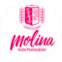 Ilustre Municipalidad de Molina