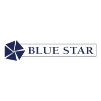 Blue Star Diamonds Pvt. Ltd.