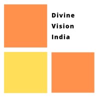 Divine Vision India