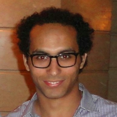 Mohamed Amer