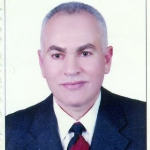Khalil Abou-Easa