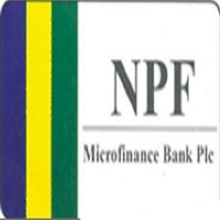 NPF MICROFINANCE BANK PLC