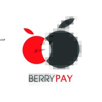 BerryPay Official