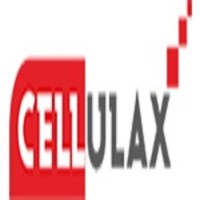 CELLULAX SOFTWARE SERVICES PTE LIMITED