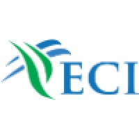 Electronic Commerce International