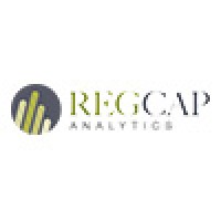 Reg Cap Analytics