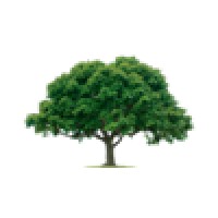 Money Tree Business Ideas Pvt Ltd