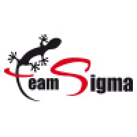 Team Sigma Srl
