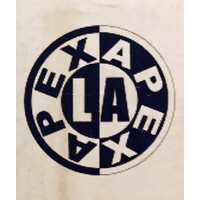 APEX INTERNATIONAL TRANSPORTATION LLC