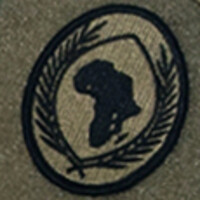 U.S. Africa Command (AFRICOM)