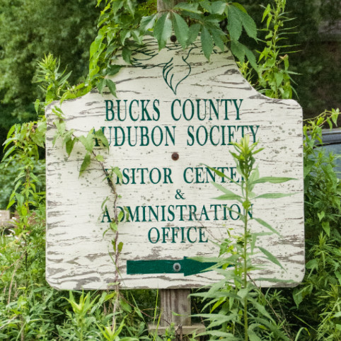 Bucks County Audubon Society