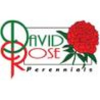 David Rose Perennials