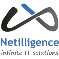 Netilligence Business System LLC