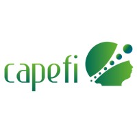 CAPEFI, Centro de Investigación y Consultoría Empresarial