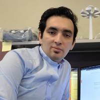 Farshid Pashaee, PhD
