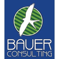 BAUER CONSULTING LLC