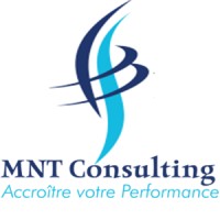 MNT Consulting