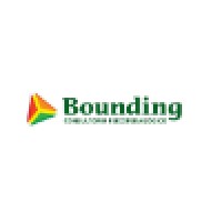 Bounding - Consultorio Psicopedagógico