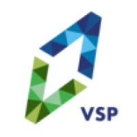 Visionary Search Partners (VSP)