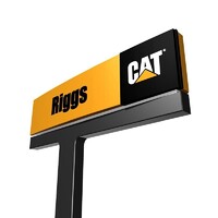 Riggs Cat